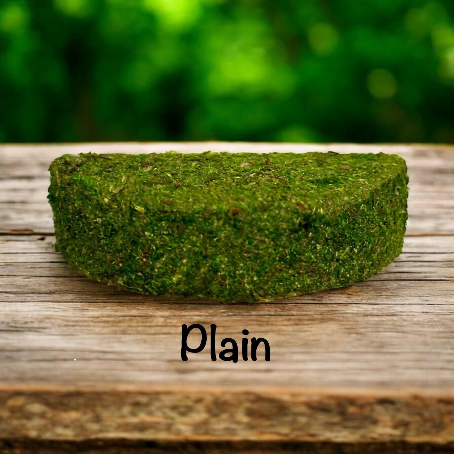 Mossy Ledge for Jumping Spider | Spider Enclosure Decor | Spider Habitat Decor | Enclosure Decor