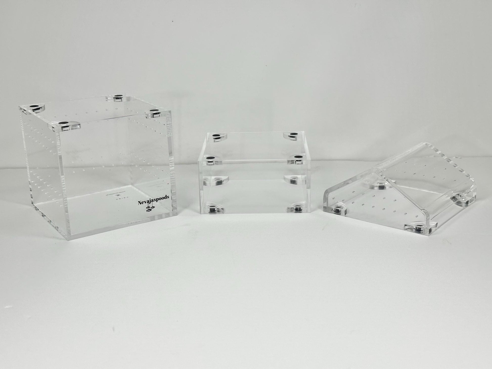 Tarantula Cribs 4x4 Adjustable Jumping Spider Enclosure | Expands Up to 8 Inches Tall | Arboreal Spider Habitat