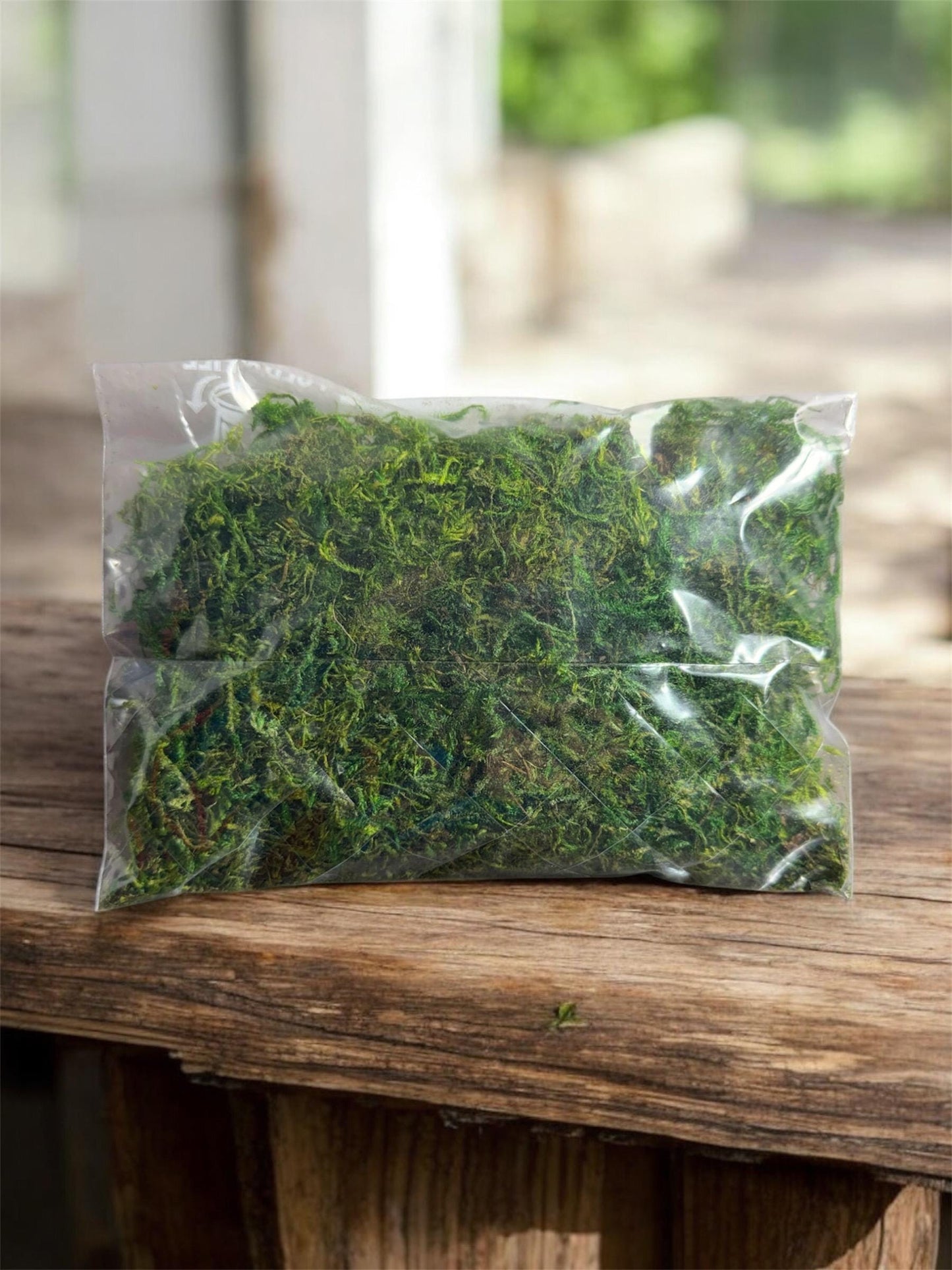 Terrarium Moss for Jumping Spider Enclosure | Spider Terrarium Substrate | Spider Habitat | Spider Enclosure Essentials