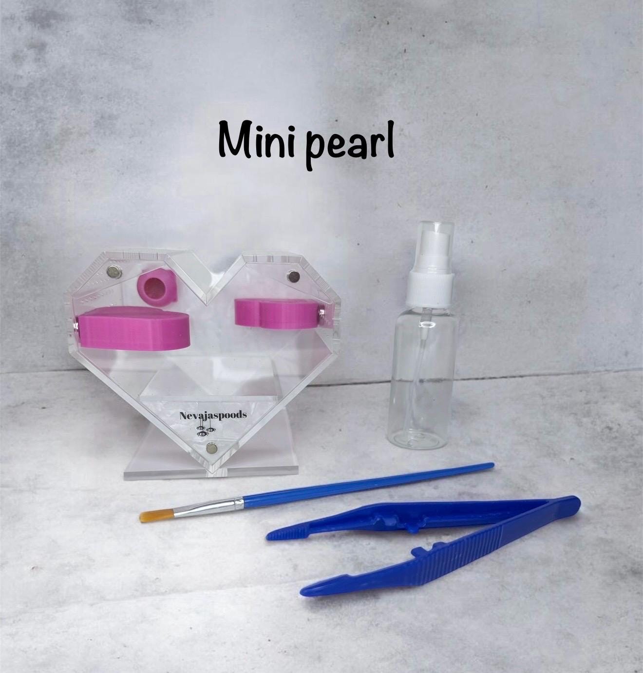 Heart Shaped Jumping Spider Enclosure | Starter Kit & Decor Bundle Included | Spider Habitat