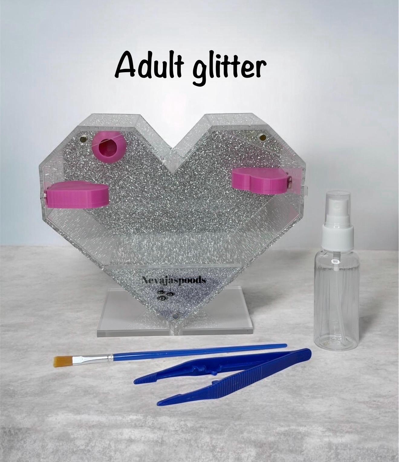 Heart Shaped Jumping Spider Enclosure | Starter Kit & Decor Bundle Included | Spider Habitat