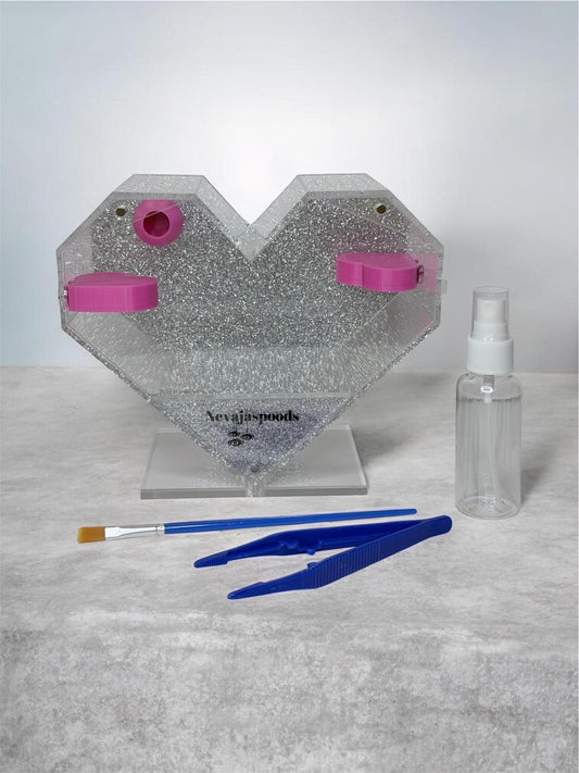 Heart Shaped Jumping Spider Enclosure | Starter Kit & Decor Bundle Included | Spider Habitat