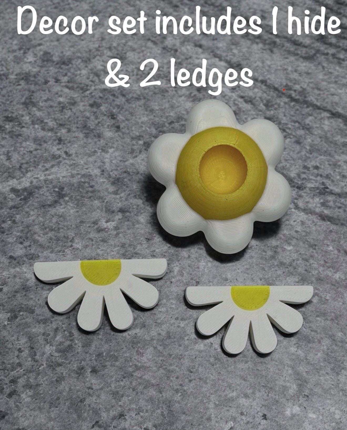 Daisy Decor Set for Jumping Spider | Spider Hide & Ledges | Jumping Spider Enclosure Accessories