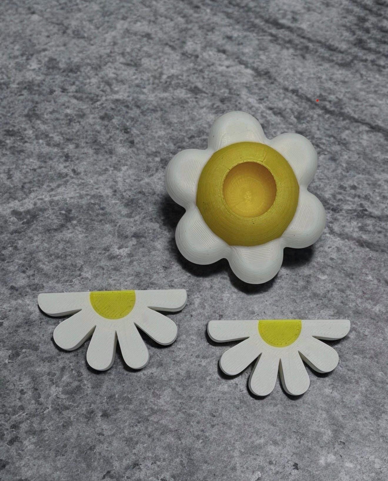 Daisy Decor Set for Jumping Spider | Spider Hide & Ledges | Jumping Spider Enclosure Accessories