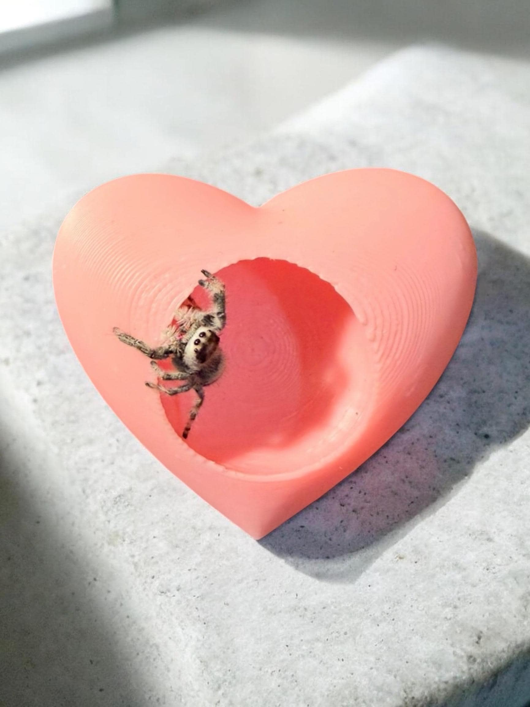Heart Hide | Jumping Spider Enclosure Decor