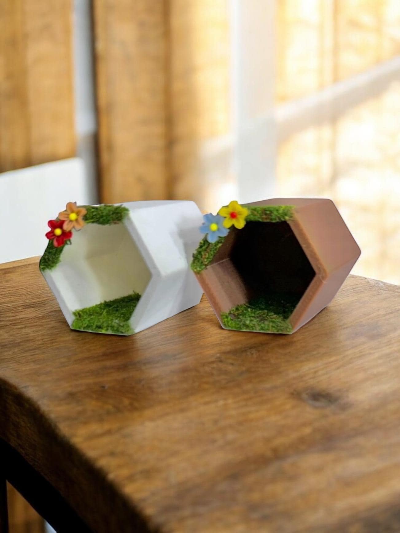 Hex Hide | Jumping Spider Enclosure Decor