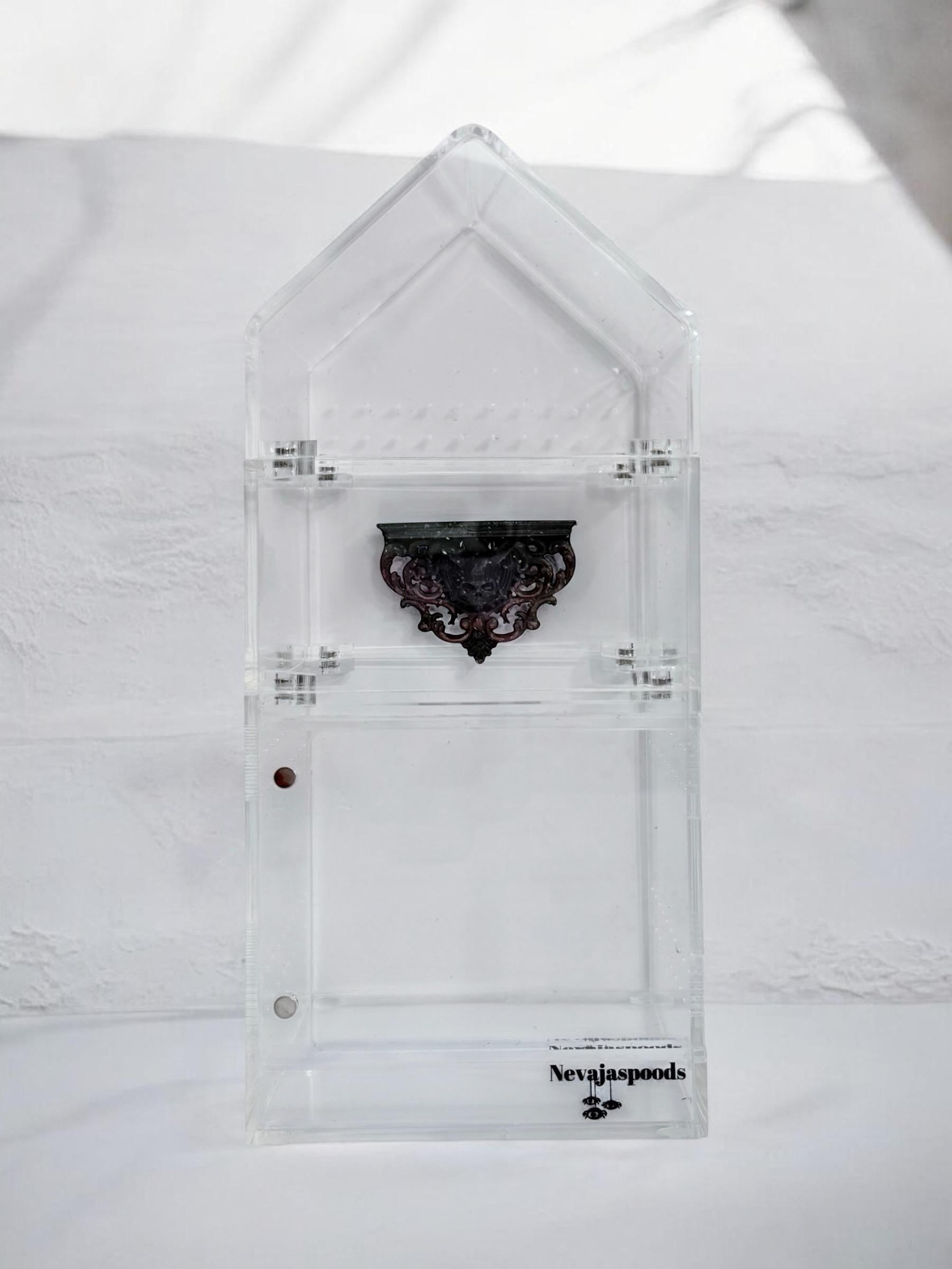 Gothic Horned Skull Jumping Spider Ledge | Enclosure Decor