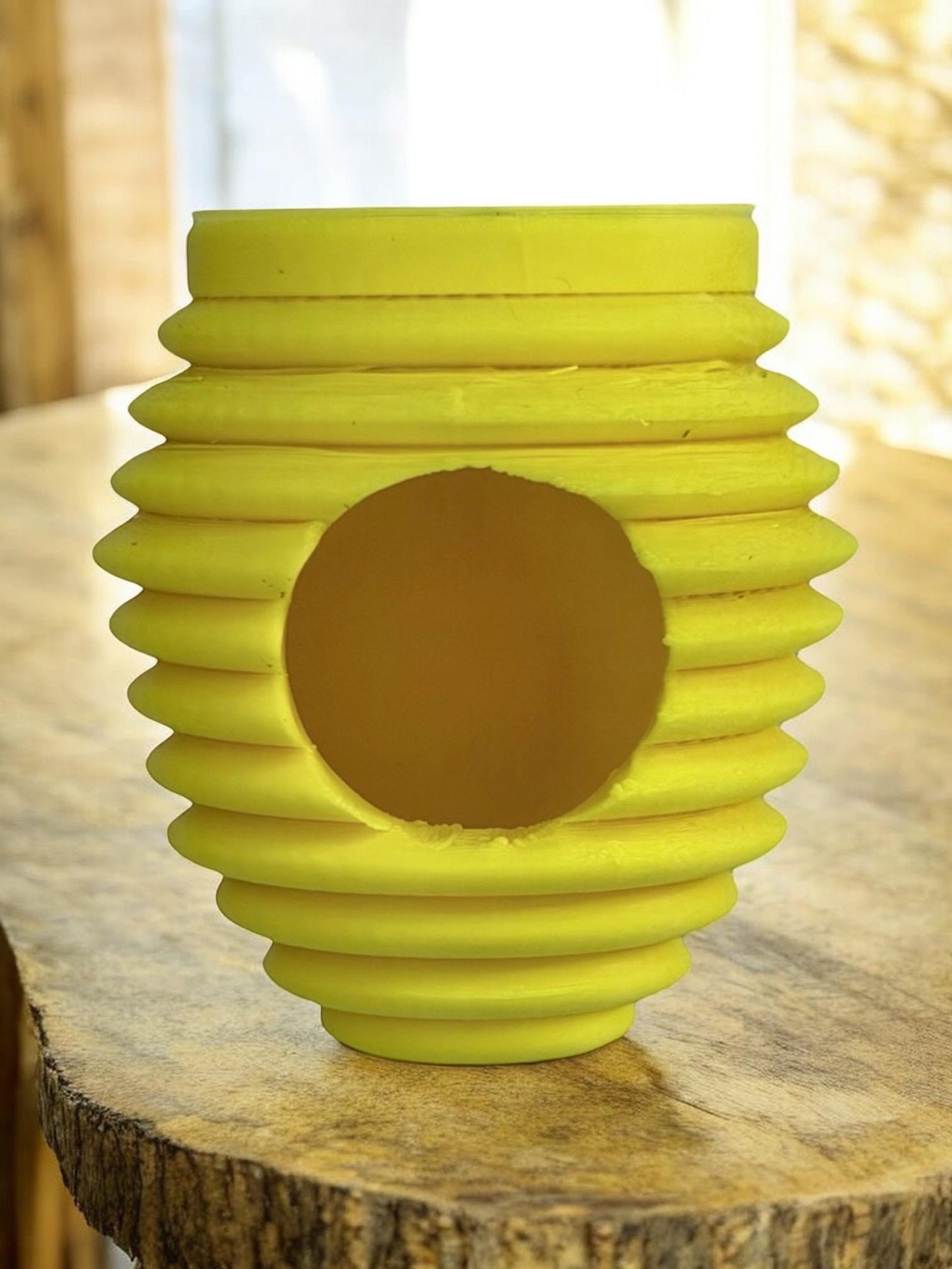 Bee Hive Hide | Jumping Spider Enclosure Decor