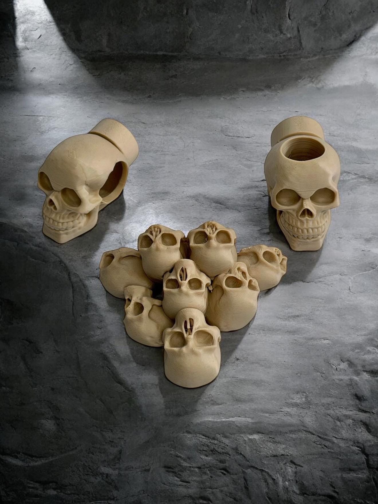 Skull Decor Set for Jumping Spider | Spider Hide & Ledges | Jumping Spider Enclosure Accessories