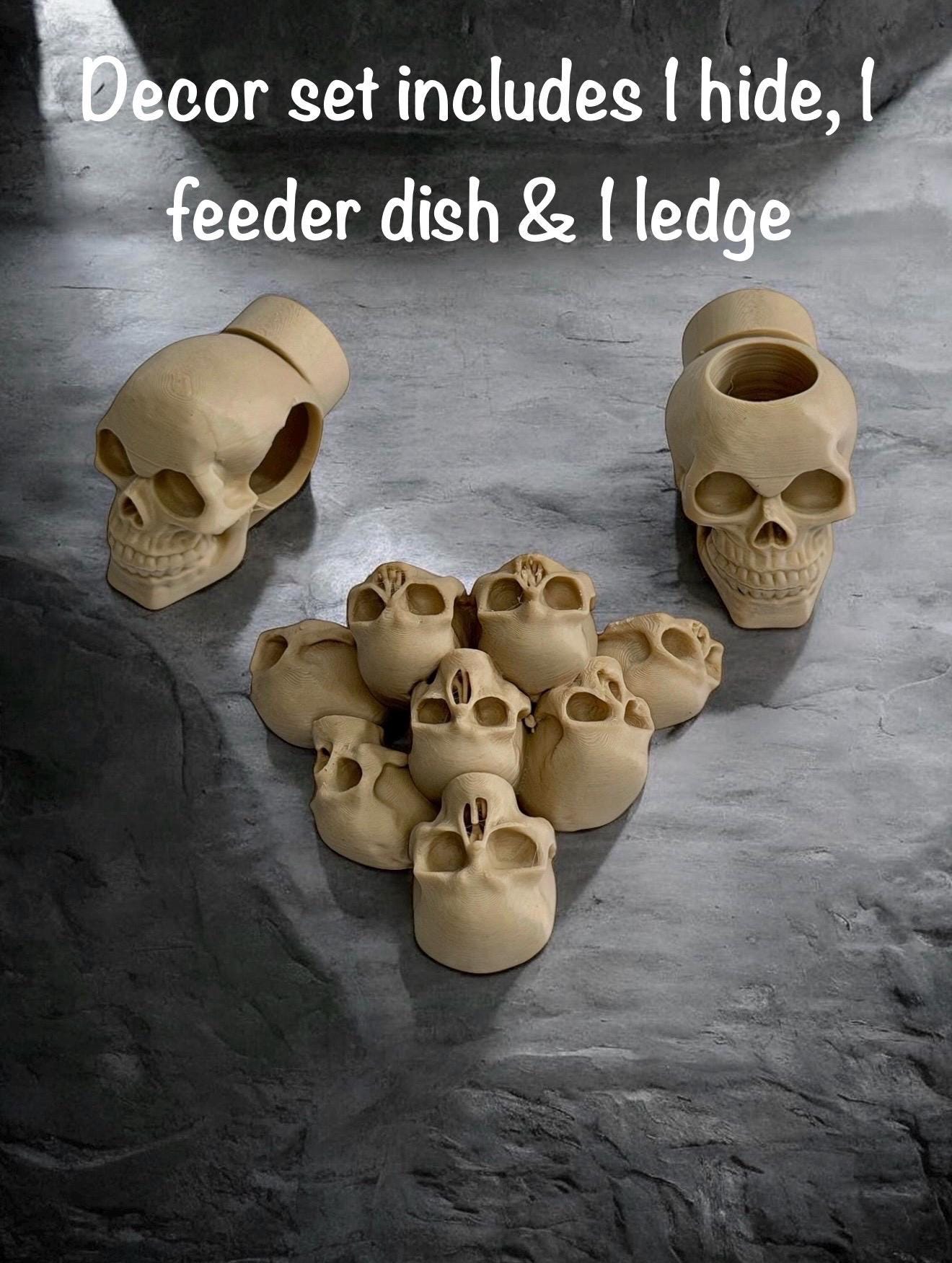 Skull Decor Set for Jumping Spider | Spider Hide & Ledges | Jumping Spider Enclosure Accessories