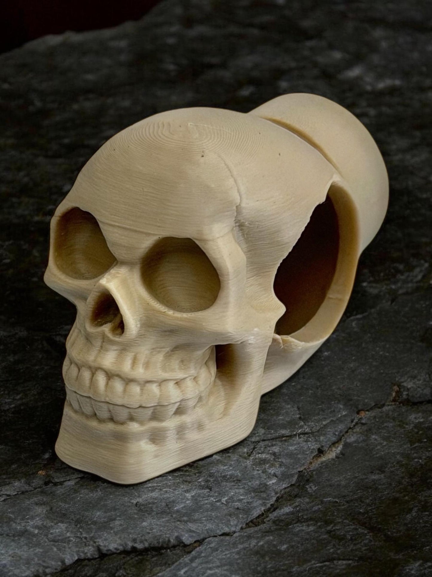 Skull Decor Set for Jumping Spider | Spider Hide & Ledges | Jumping Spider Enclosure Accessories