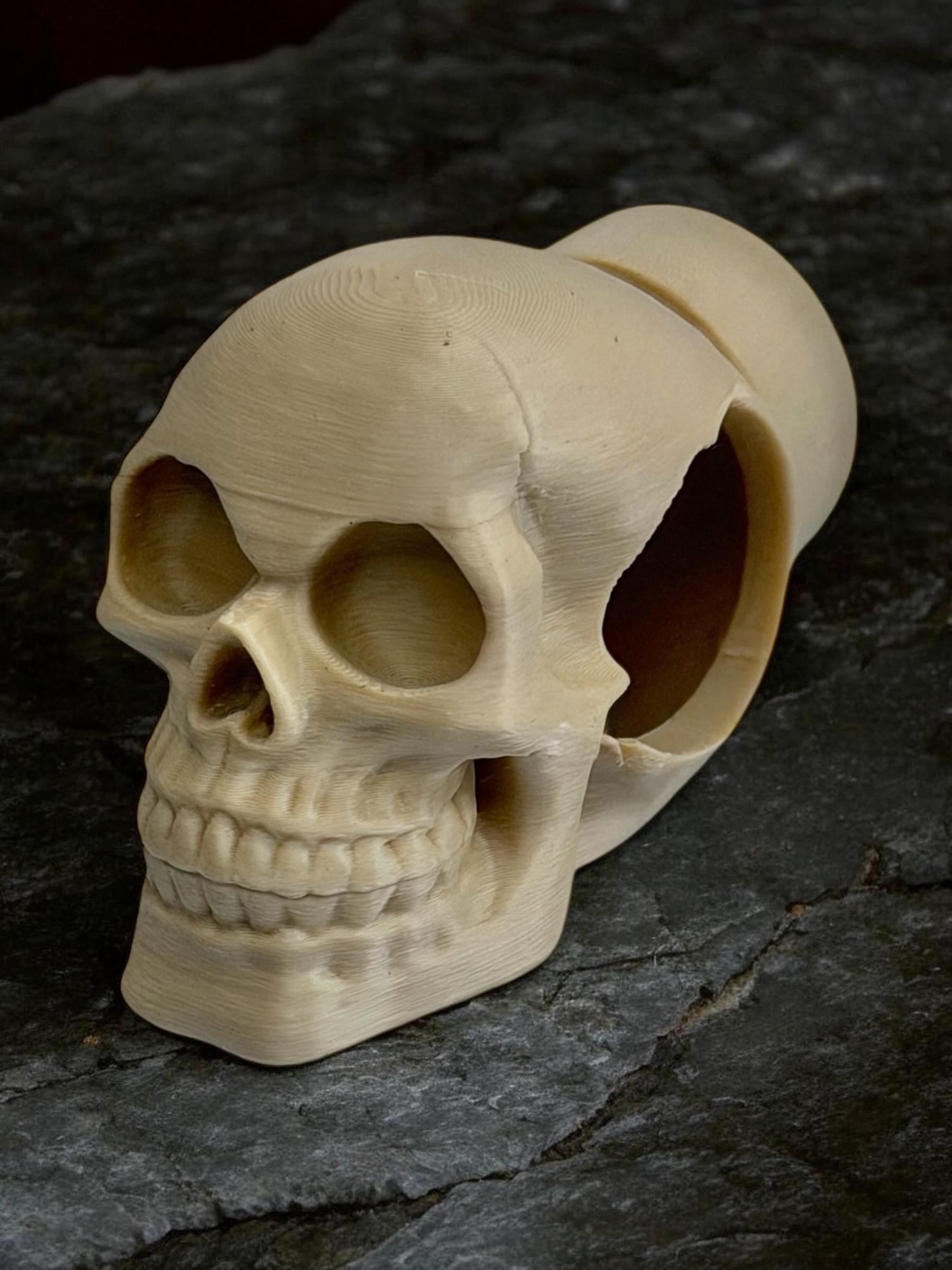 Skull Decor Set for Jumping Spider | Spider Hide & Ledges | Jumping Spider Enclosure Accessories
