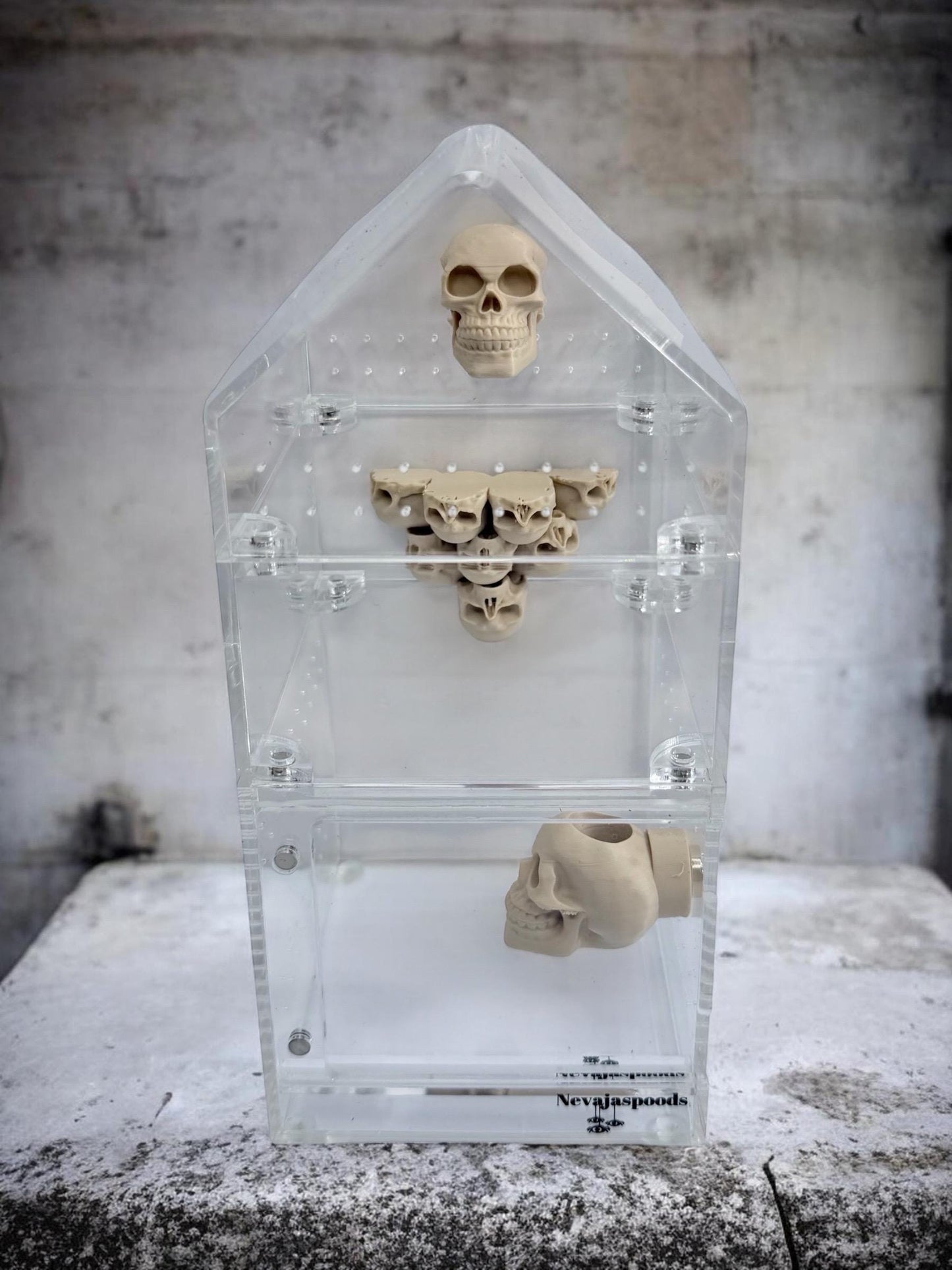 Skull Hide | Jumping Spider Enclosure Decor