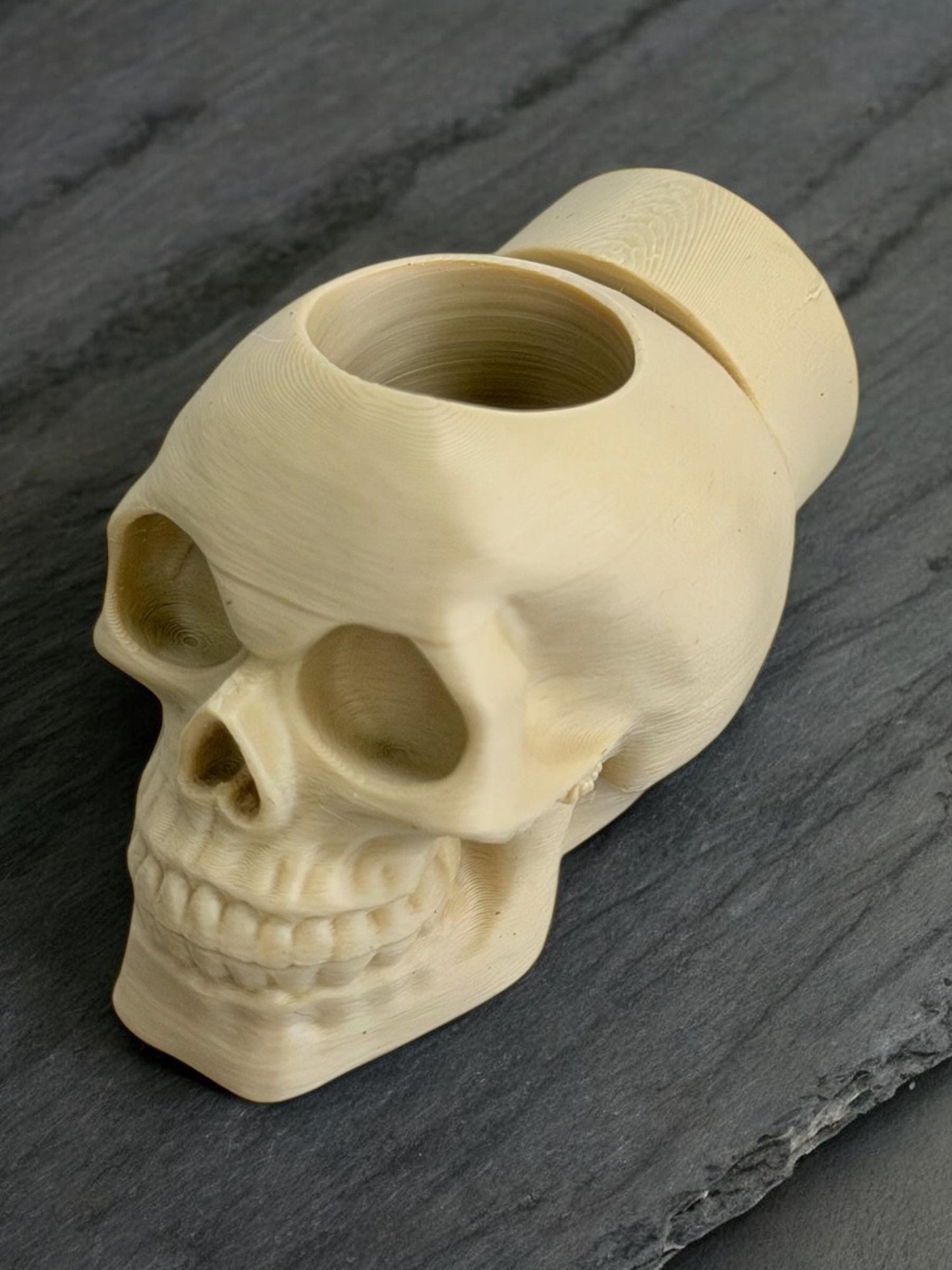 Skull Jumping Spider Feeding Dish | Spider Feeder Bowl | Enclosure Decor Accessory