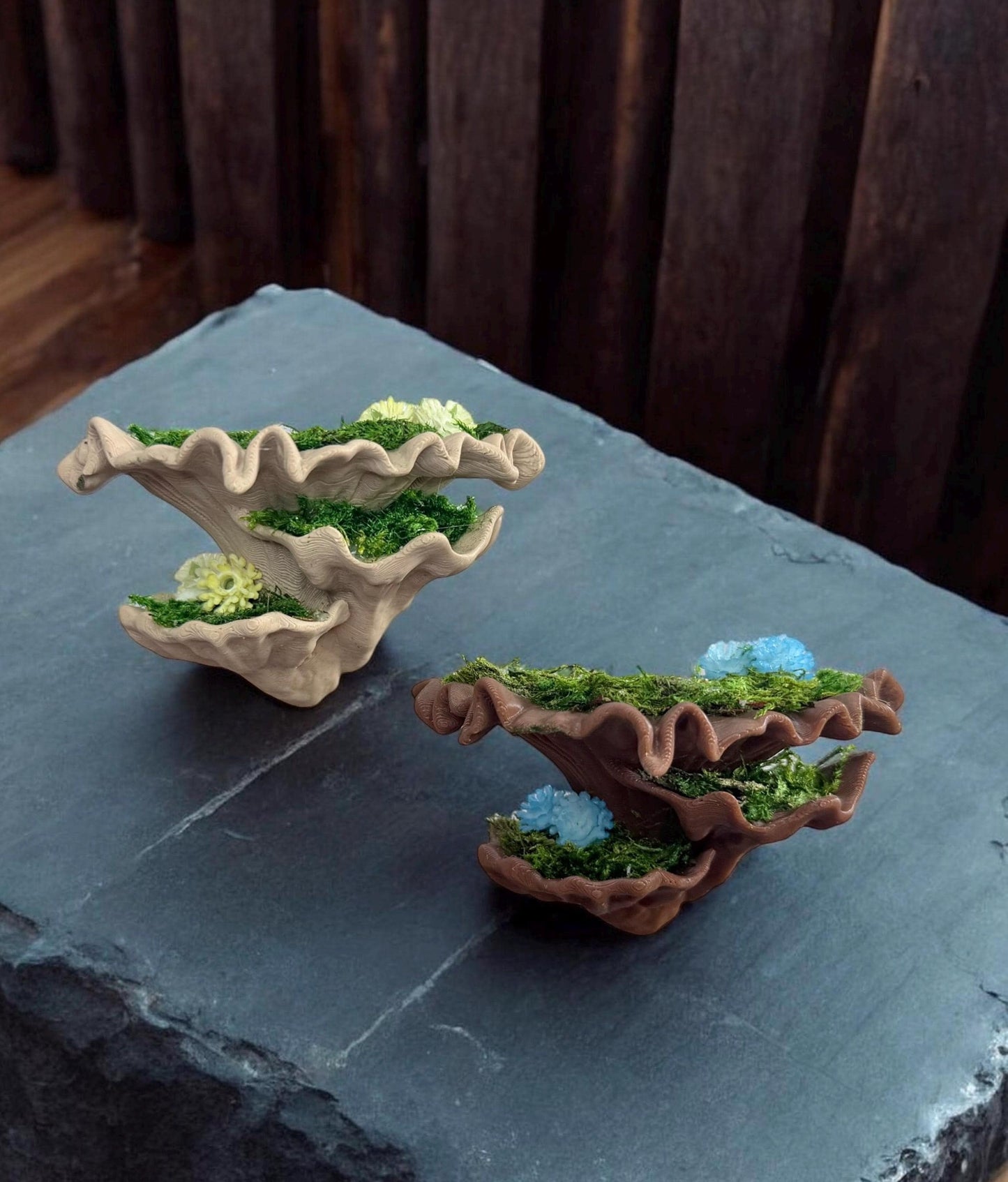 Mossy Fungi Mushroom Ledge for Jumping Spider | Spider Enclosure Decor | Spider Habitat Decor | Enclosure Decor