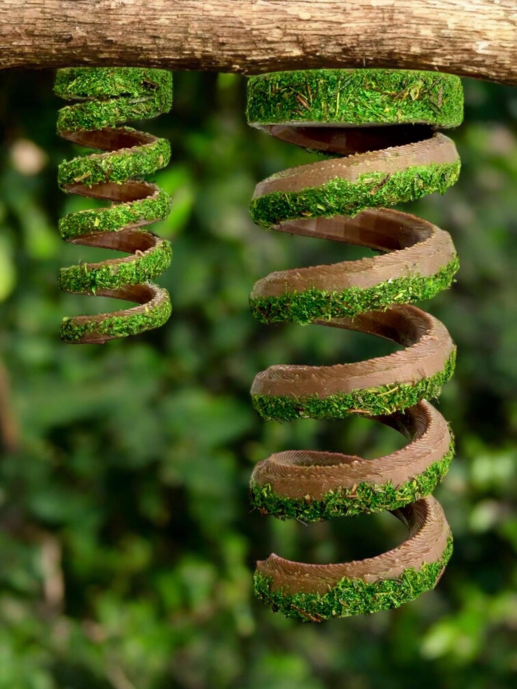 Moss Spiral Jumping Spider Playground | Spiral Hanging Gym | Enrichment Toy