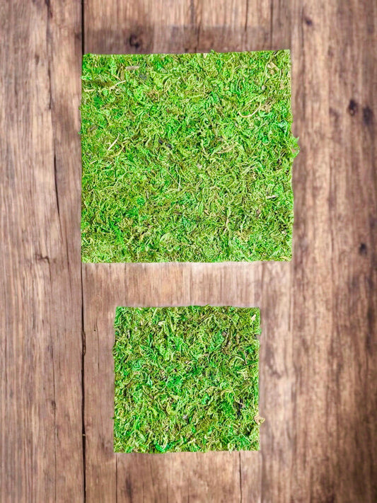 Sphagnum Moss Mat for Jumping Spider Enclosure | Spider Terrarium Substrate | Spider Habitat | Spider Enclosure Essentials