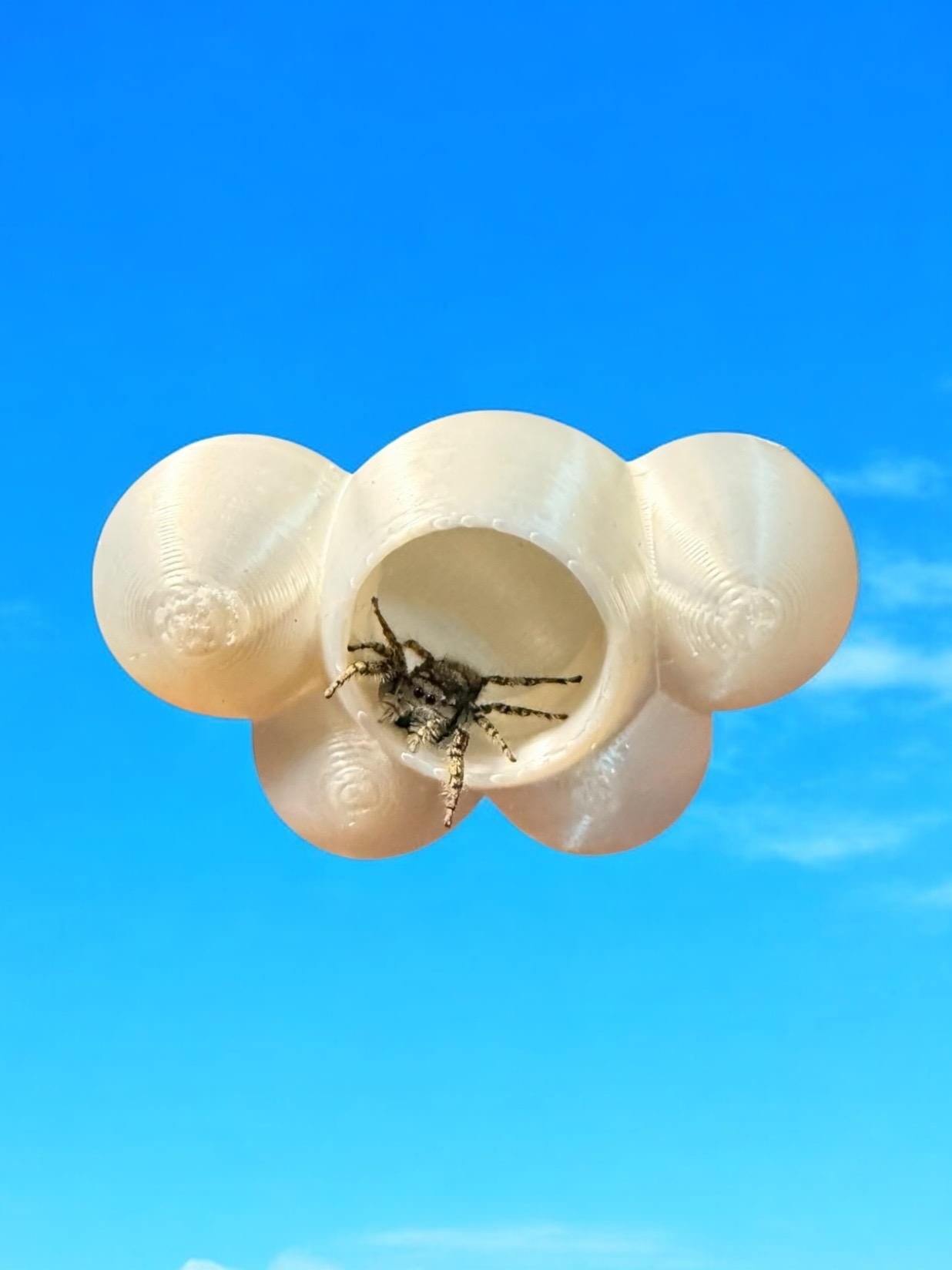 Cloud Decor Set for Jumping Spider | Spider Hide & Ledges | Jumping Spider Enclosure Accessories