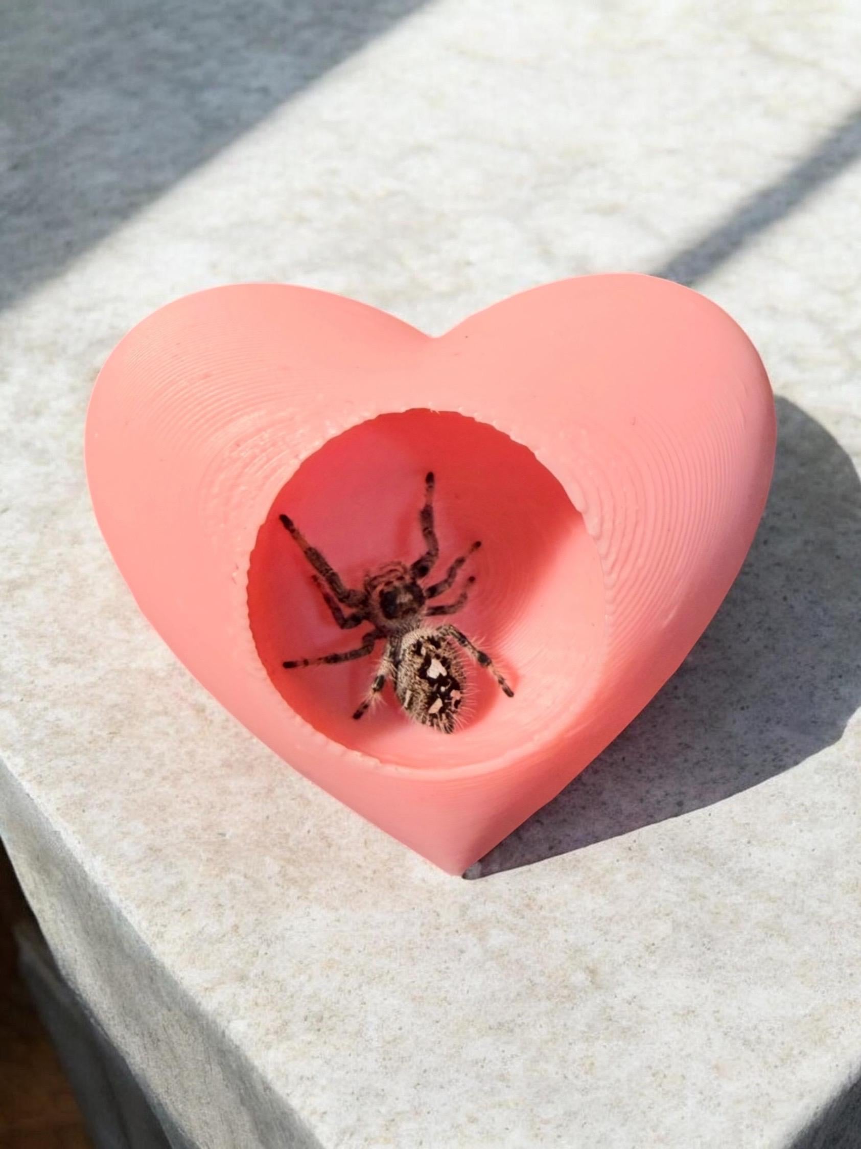 Heart Hide | Jumping Spider Enclosure Decor
