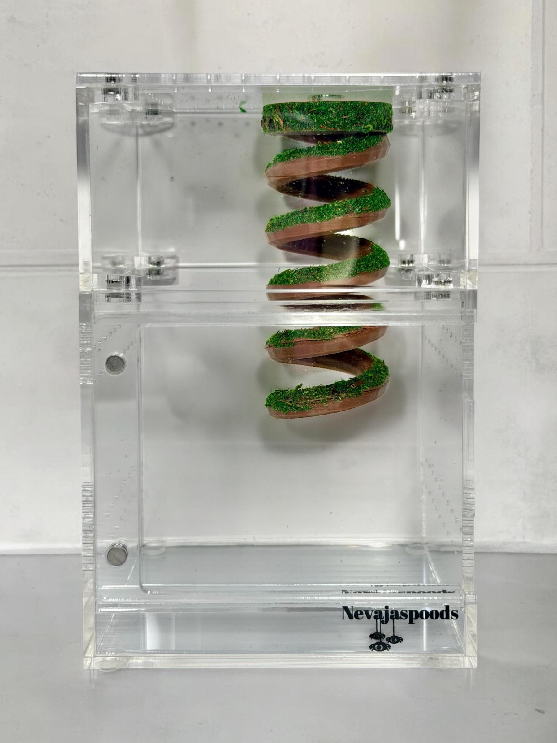 Moss Spiral Jumping Spider Playground | Spiral Hanging Gym | Enrichment Toy