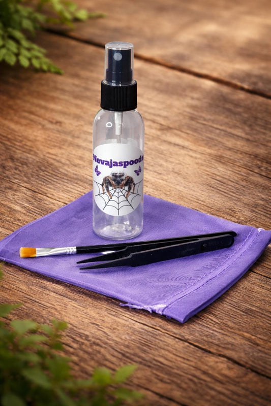 Jumping Spider Starter Kit | Spider Care Kit | Pet Spider Setup | Spider Enclosure Essentials