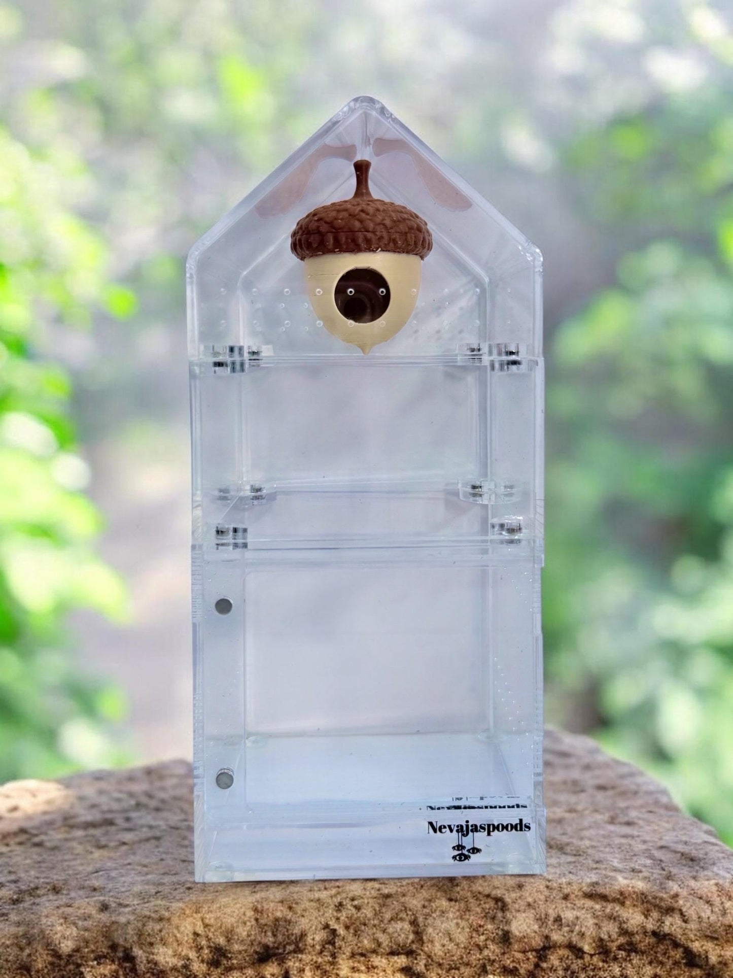 Acorn Hide | Jumping Spider Enclosure Decor