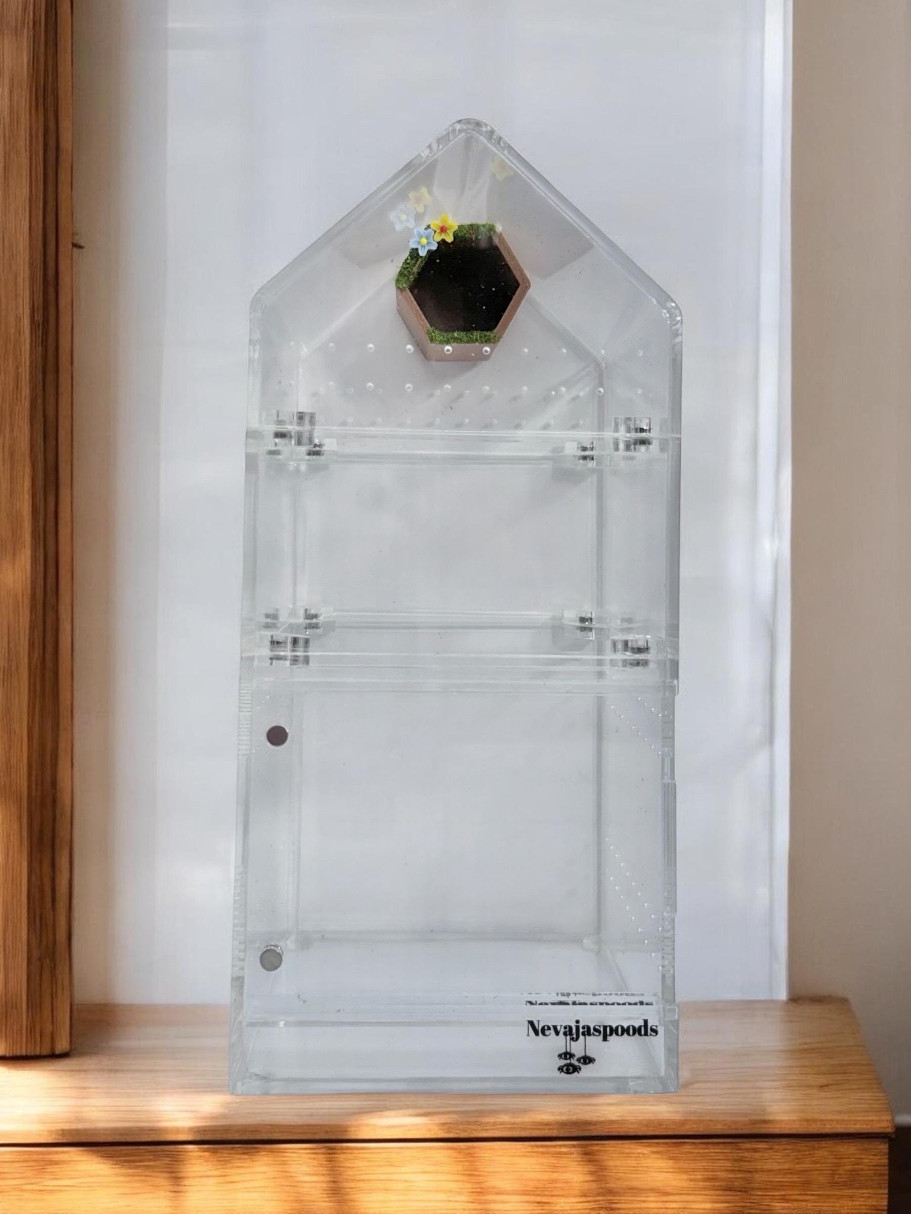 Hex Hide | Jumping Spider Enclosure Decor