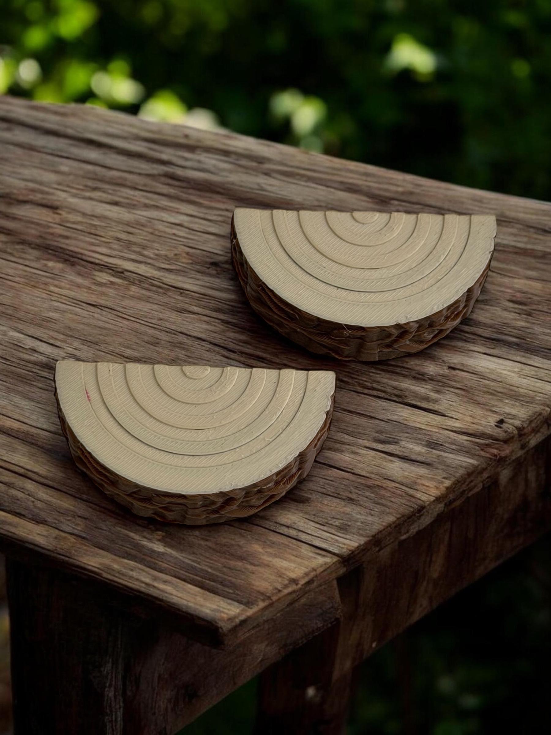 Set of 2 Log Jumping Spider Ledges | Spider Enclosure Decor | Spider Habitat Decor | Enclosure Decor
