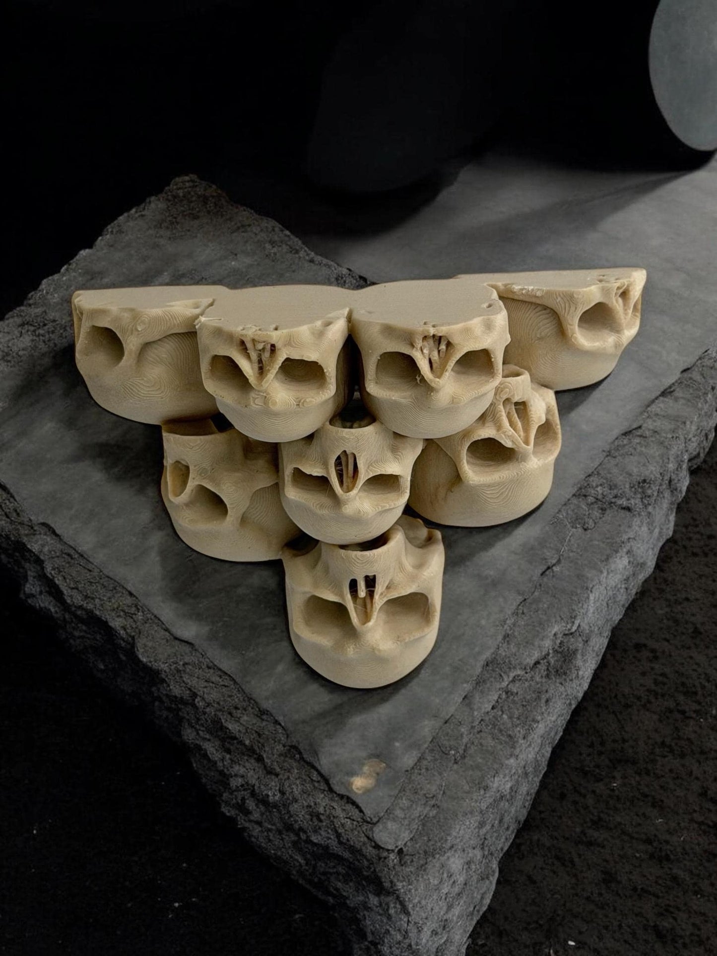 Skull Decor Set for Jumping Spider | Spider Hide & Ledges | Jumping Spider Enclosure Accessories