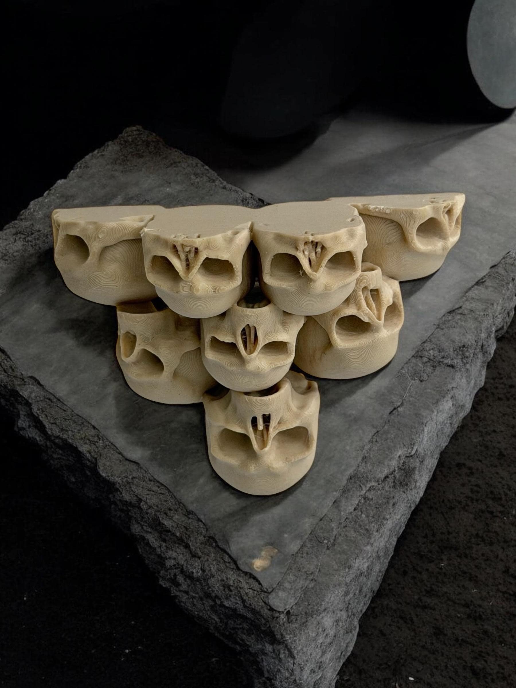 Skull Decor Set for Jumping Spider | Spider Hide & Ledges | Jumping Spider Enclosure Accessories