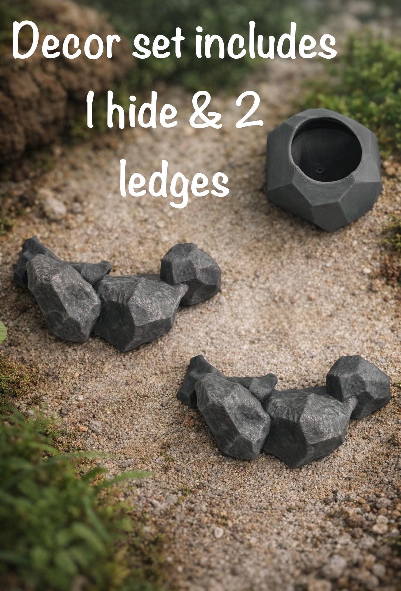 Rock Decor Set for Jumping Spider | Spider Hide & Ledges | Jumping Spider Enclosure Accessories
