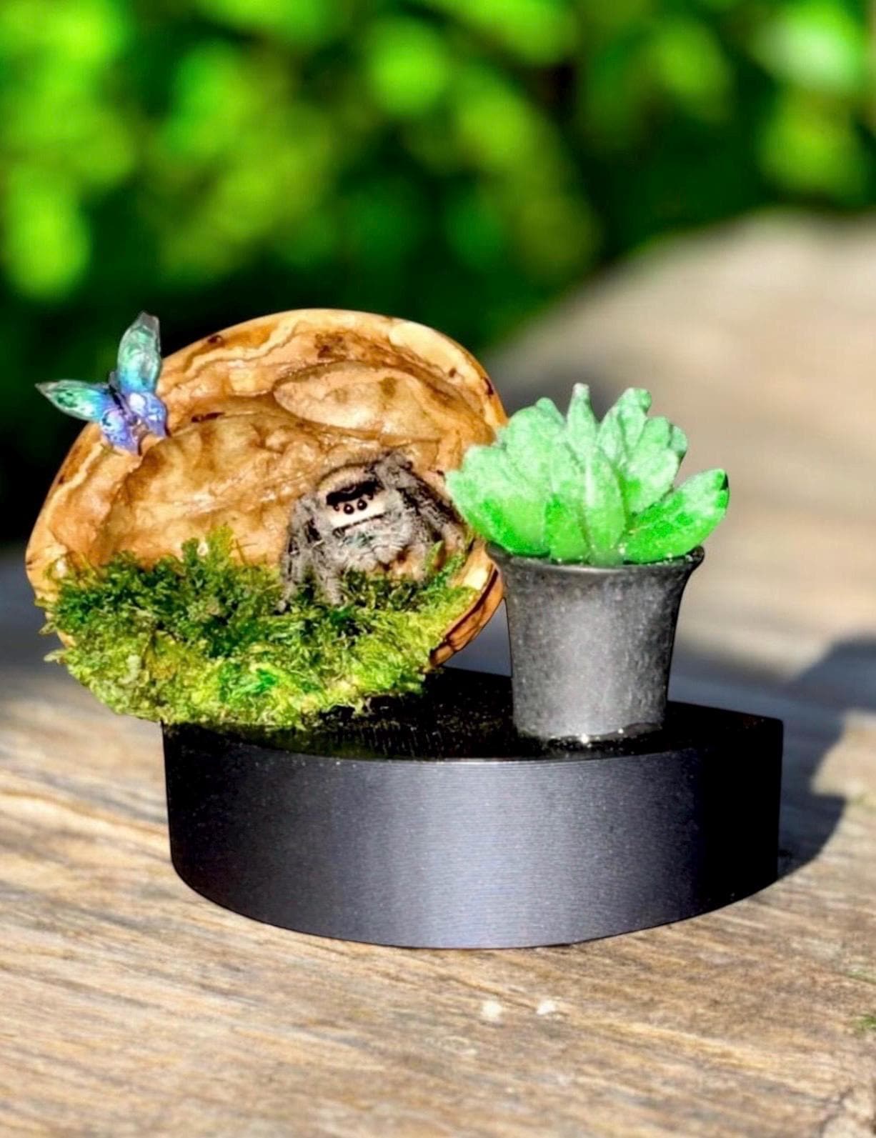 DISCOUNTED Walnut Lounge Ledge for Jumping Spider | Spider Enclosure Decor | Spider Habitat Decor | Enclosure Decor