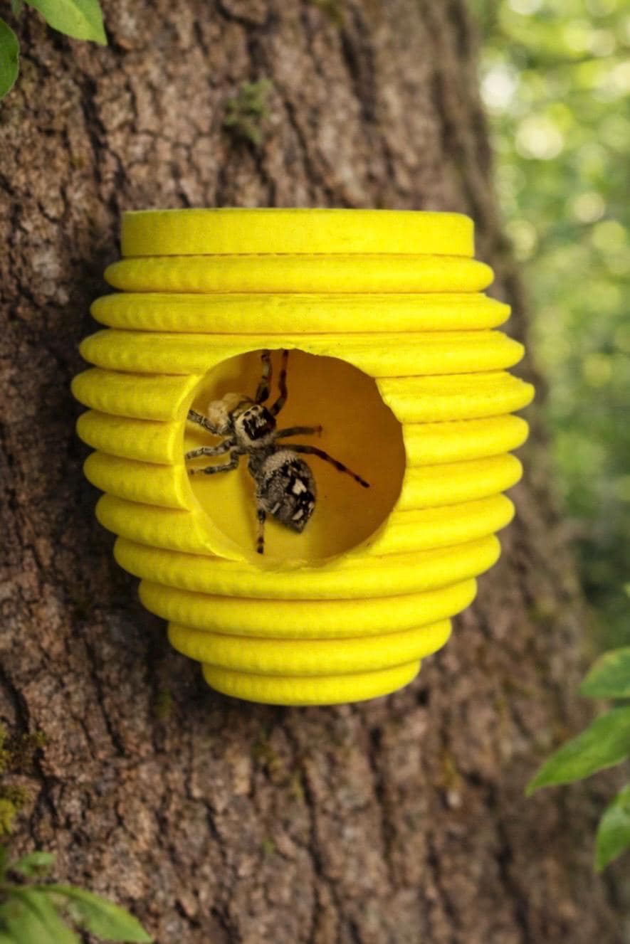 Bee Hive Hide | Jumping Spider Enclosure Decor