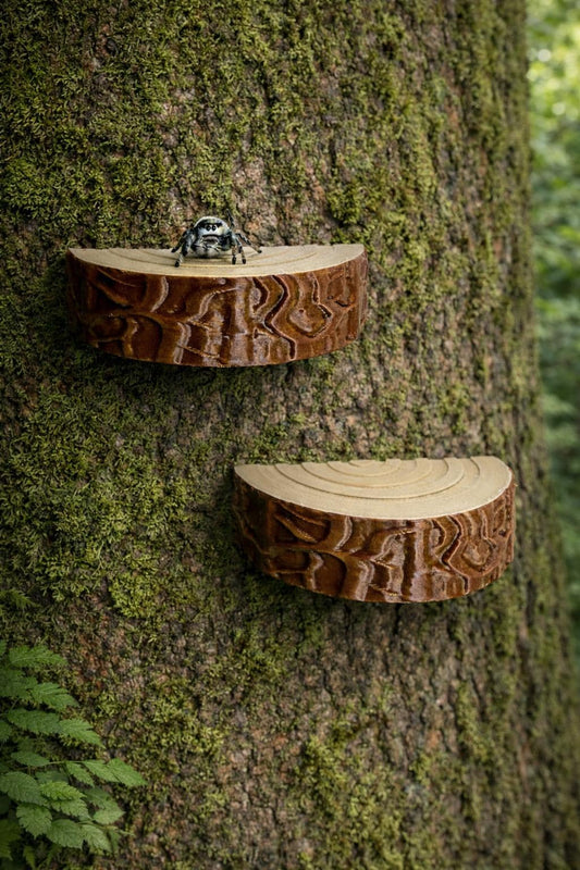 Set of 2 Log Jumping Spider Ledges | Spider Enclosure Decor | Spider Habitat Decor | Enclosure Decor