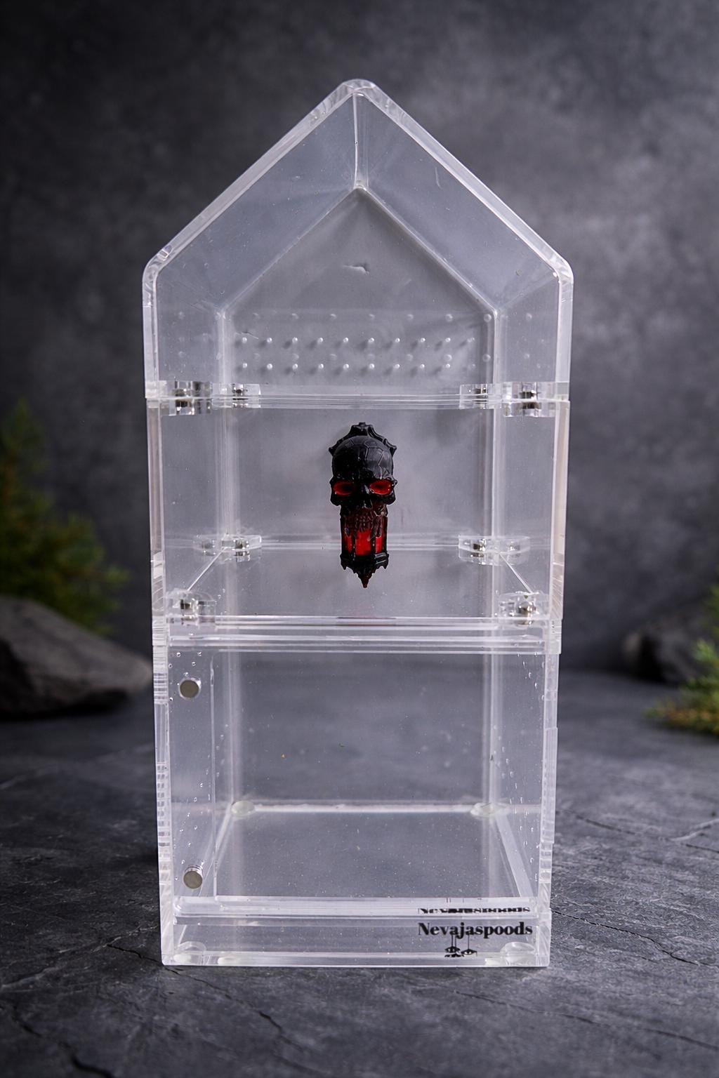 Gothic Skull Lantern Jumping Spider Ledge | Enclosure Decor