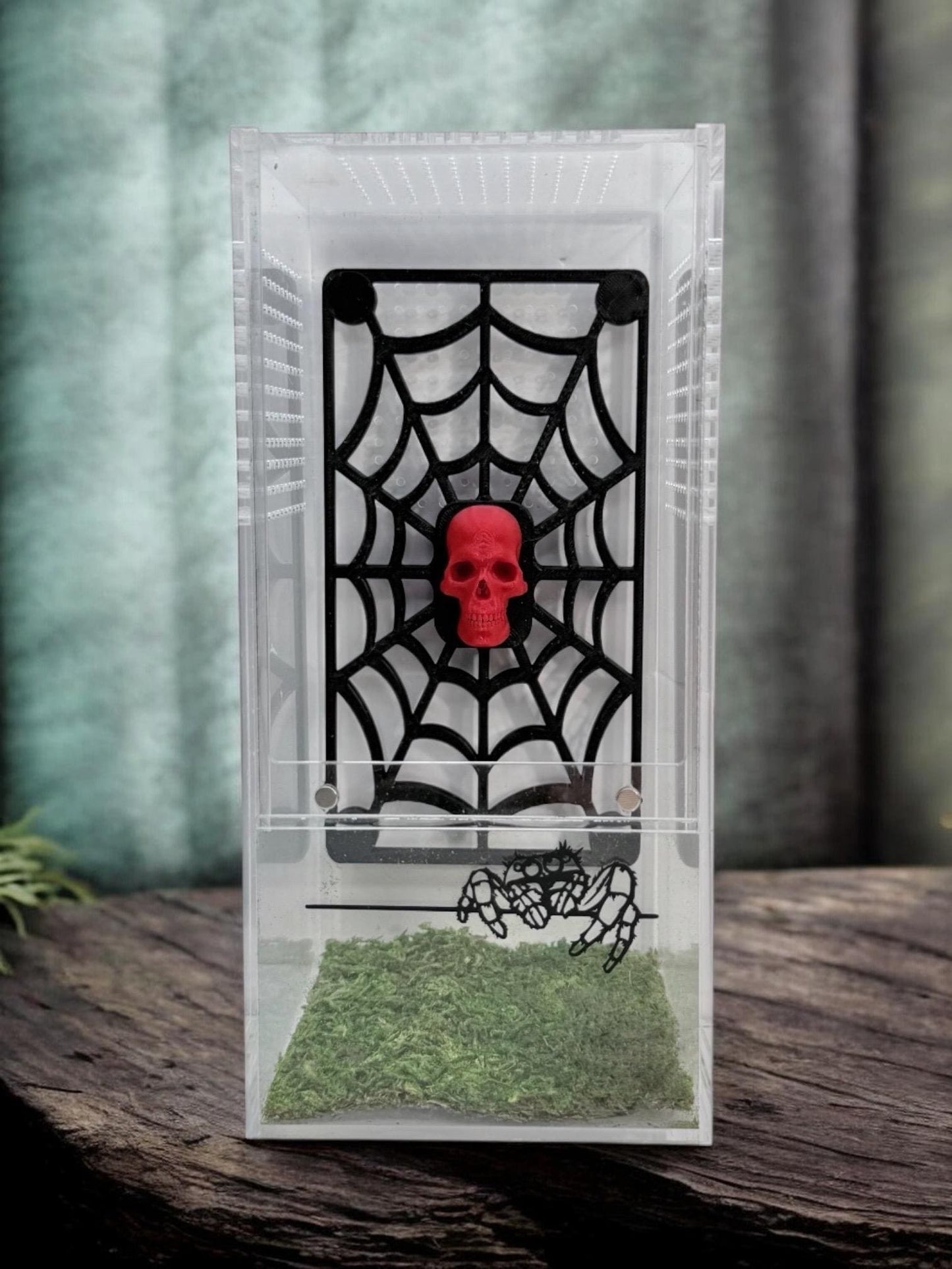 Skull Spider Web Climbing Wall | Jumping Spider Enclosure Decor