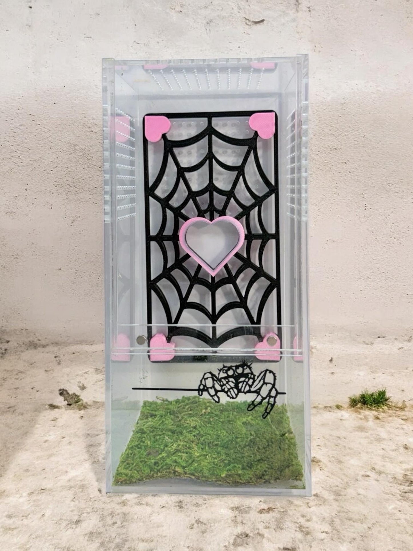 Heart Spider Web Climbing Wall | Jumping Spider Enclosure Decor