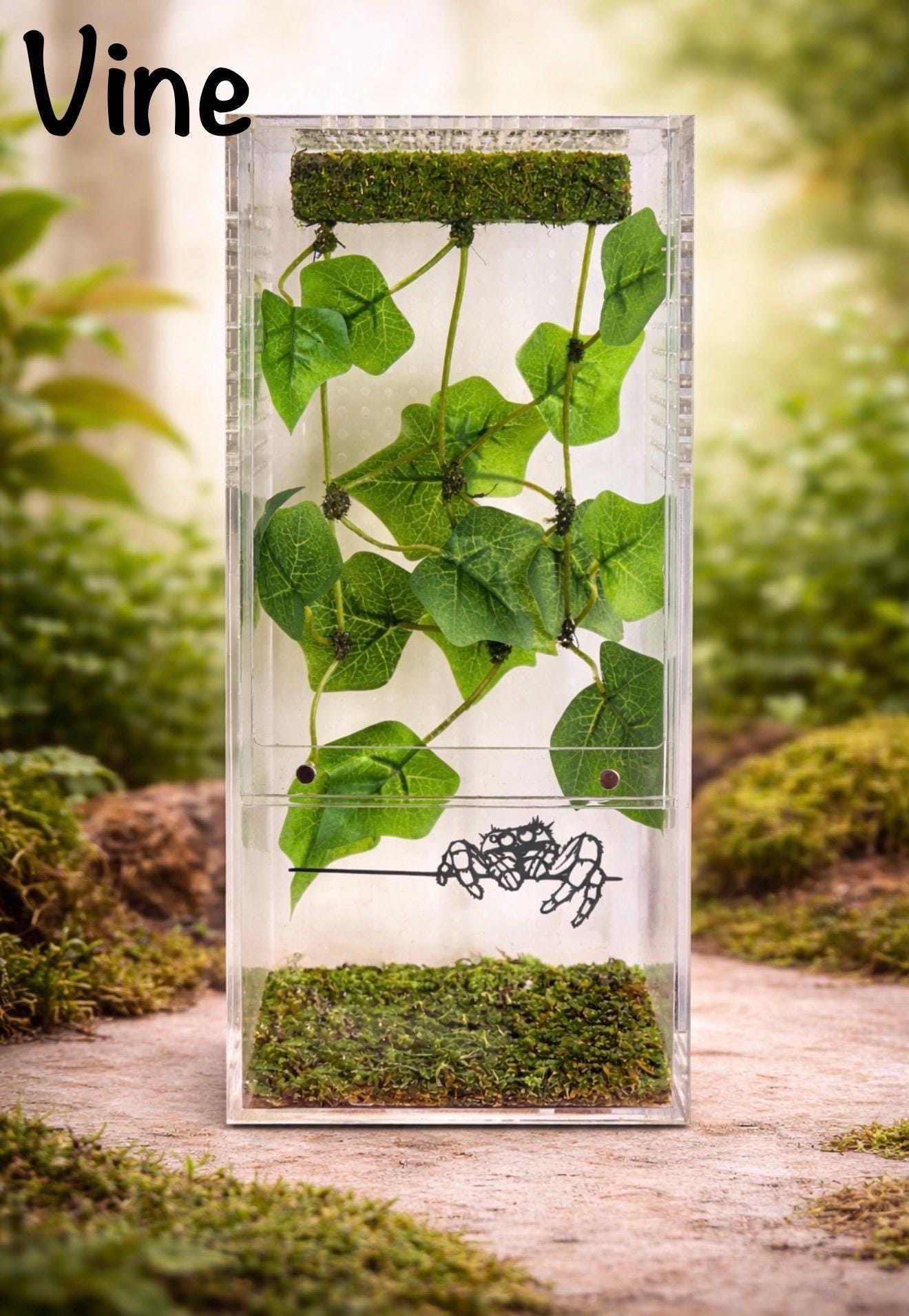 Hanging Plant Climbing Wall | Jumping Spider Enclosure Decor