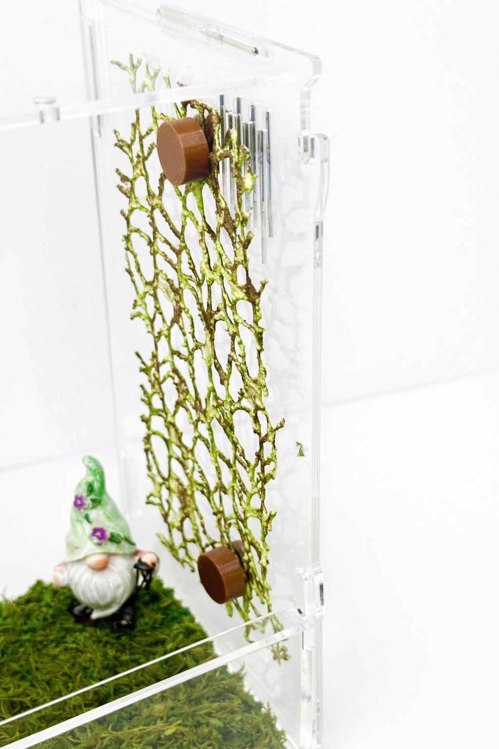 Webbed Moss Ribbon | Jumping Spider Enclosure Decor