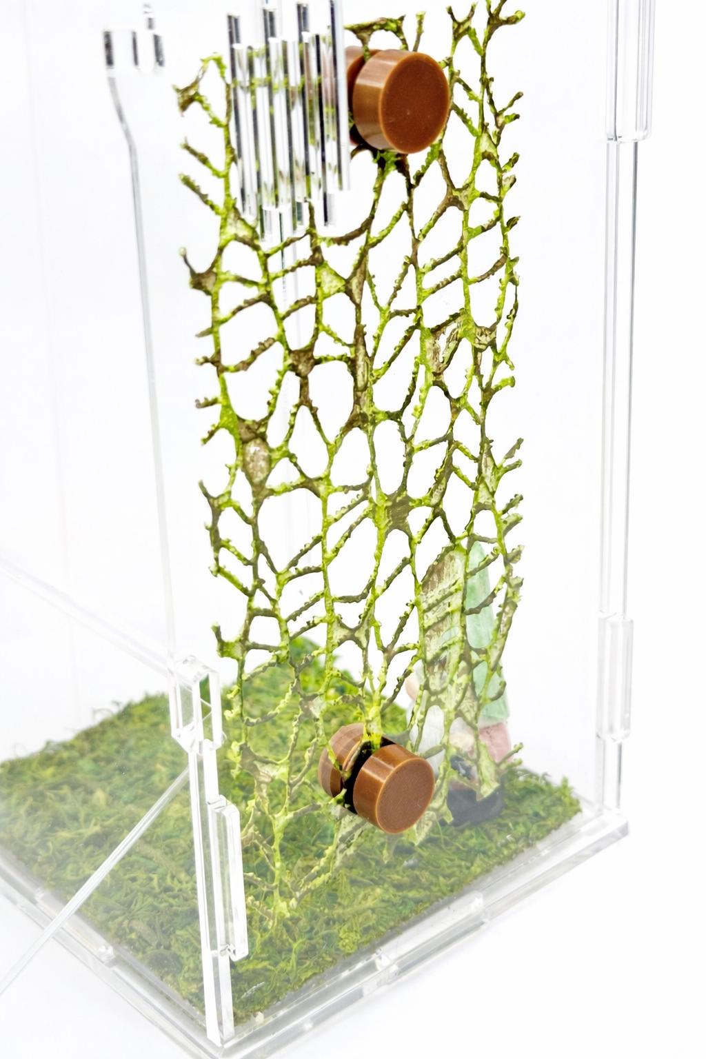 Webbed Moss Ribbon | Jumping Spider Enclosure Decor