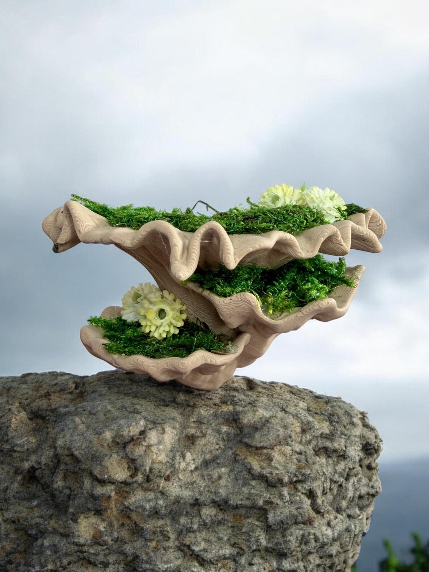 Mossy Fungi Mushroom Ledge for Jumping Spider | Spider Enclosure Decor | Spider Habitat Decor | Enclosure Decor