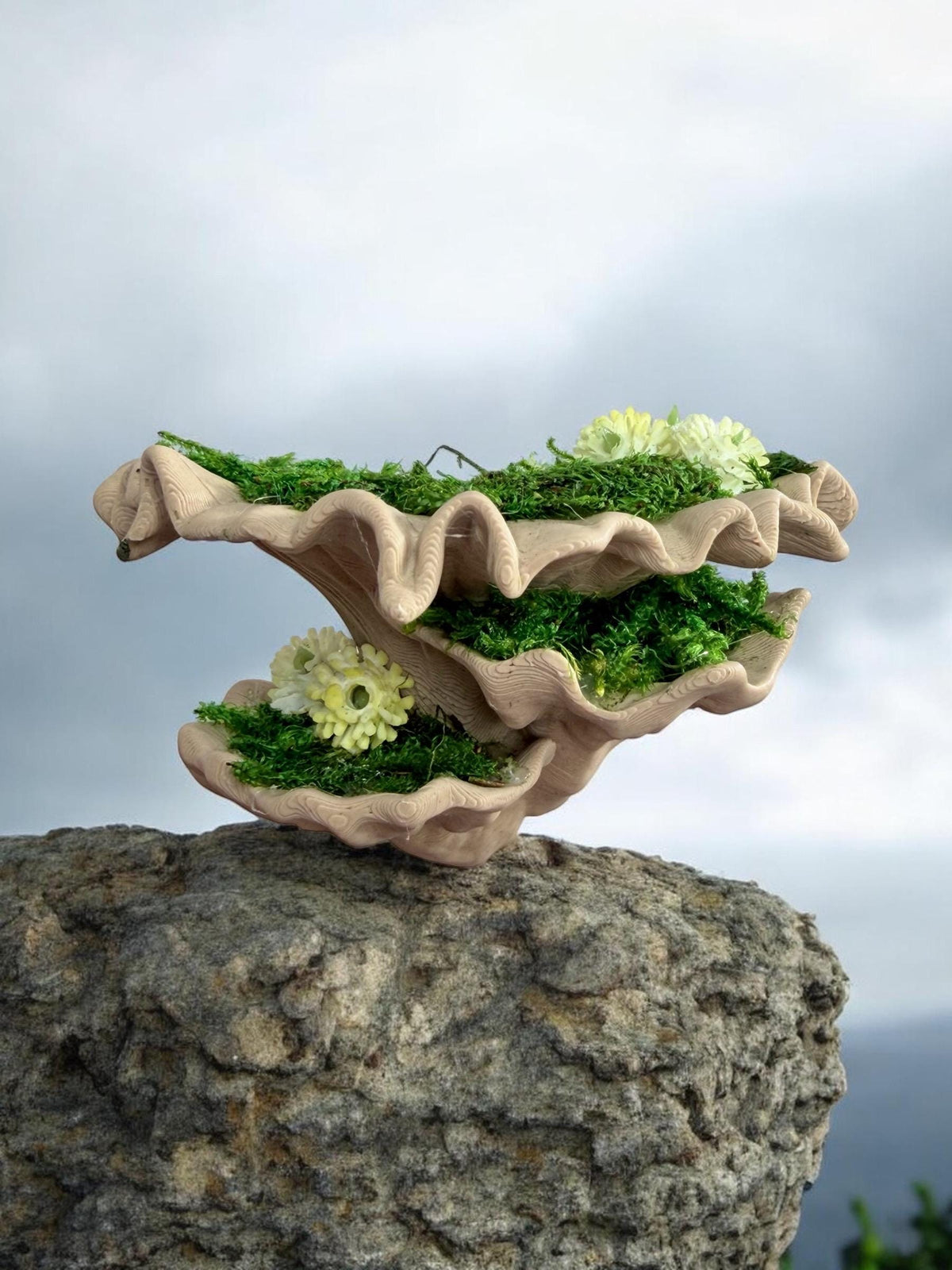 Mossy Fungi Mushroom Ledge for Jumping Spider | Spider Enclosure Decor | Spider Habitat Decor | Enclosure Decor