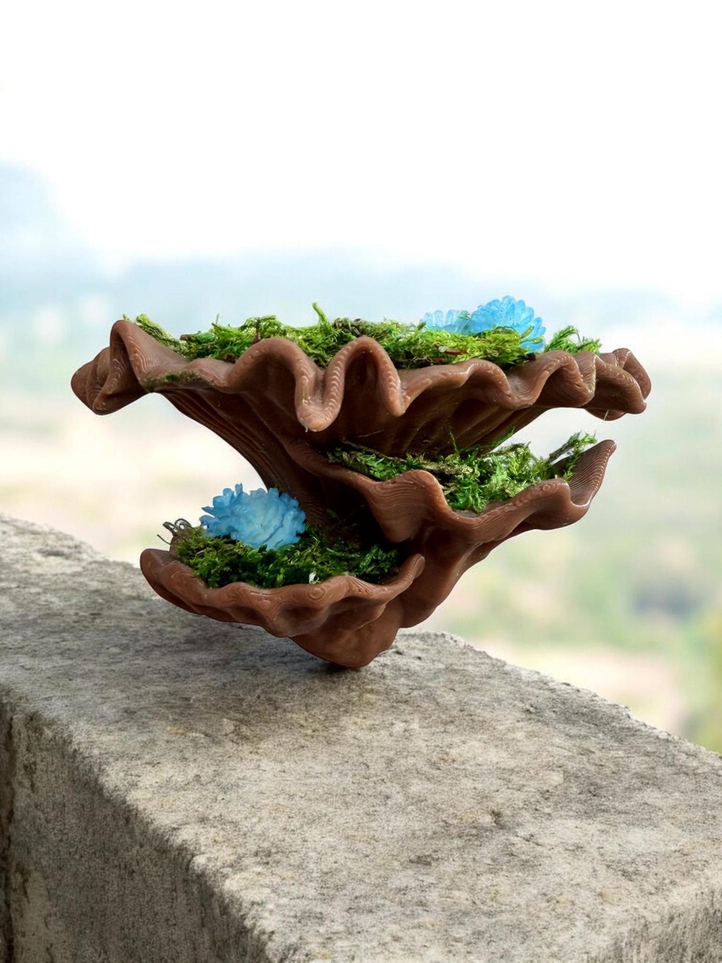 Mossy Fungi Mushroom Ledge for Jumping Spider | Spider Enclosure Decor | Spider Habitat Decor | Enclosure Decor