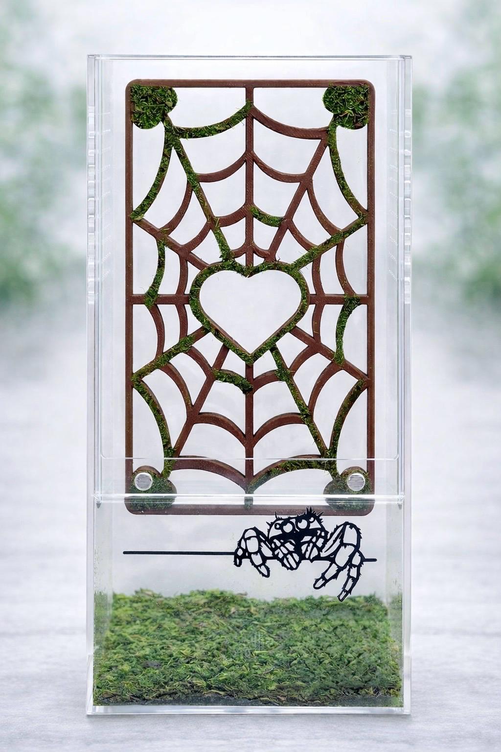 Mossy Spider Web Climbing Wall | Jumping Spider Enclosure Decor