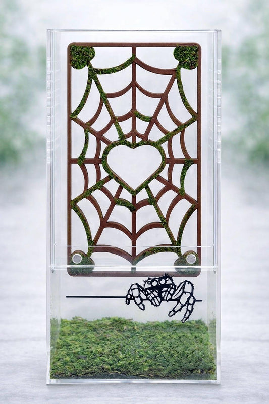 Mossy Spider Web Climbing Wall | Jumping Spider Enclosure Decor