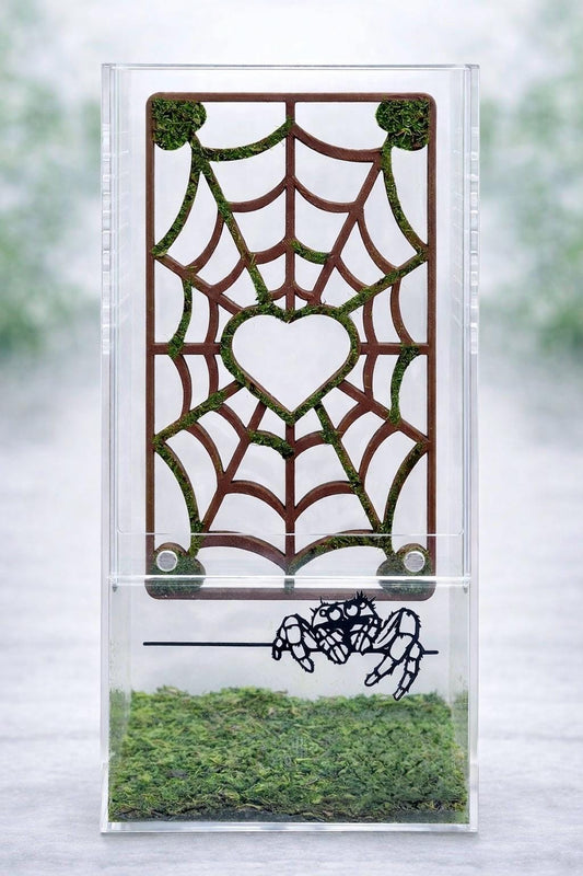Mossy Spider Web Climbing Wall | Jumping Spider Enclosure Decor