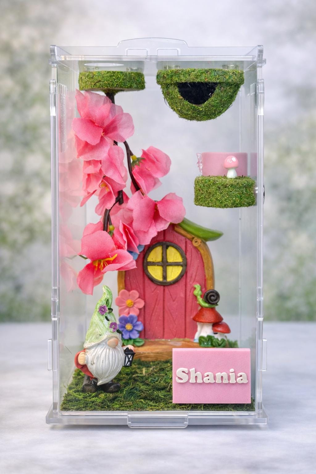 Personalized Name Plate for Jumping Spider Enclosure | Spider Habitat | Spider Enclosure Essentials