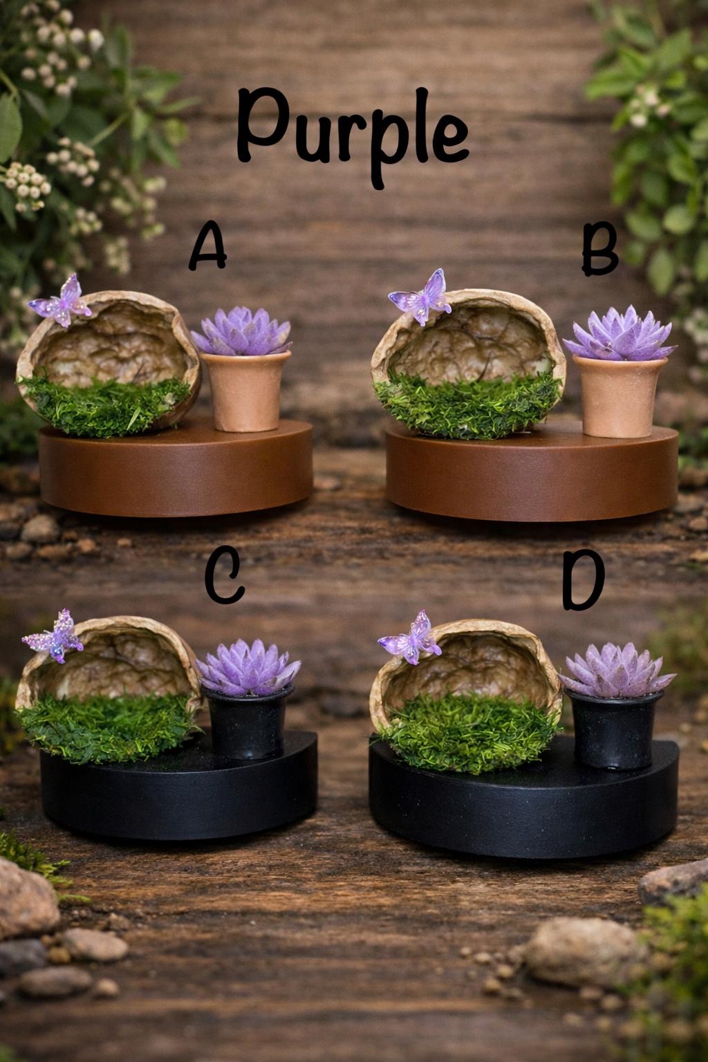DISCOUNTED Walnut Lounge Ledge for Jumping Spider | Spider Enclosure Decor | Spider Habitat Decor | Enclosure Decor