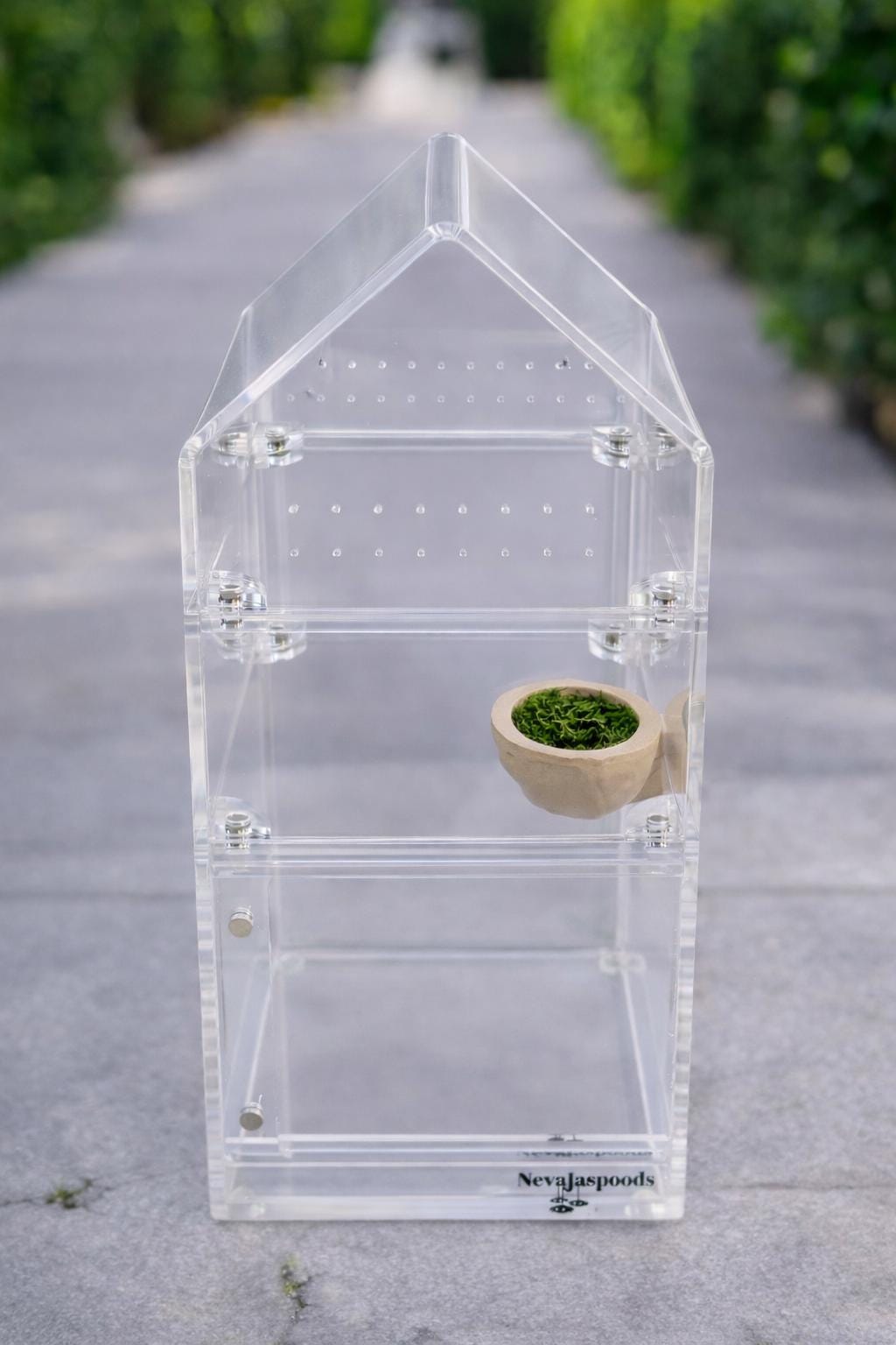 Walnut Ledge for Jumping Spider | Spider Enclosure Decor | Spider Habitat Decor | Enclosure Decor