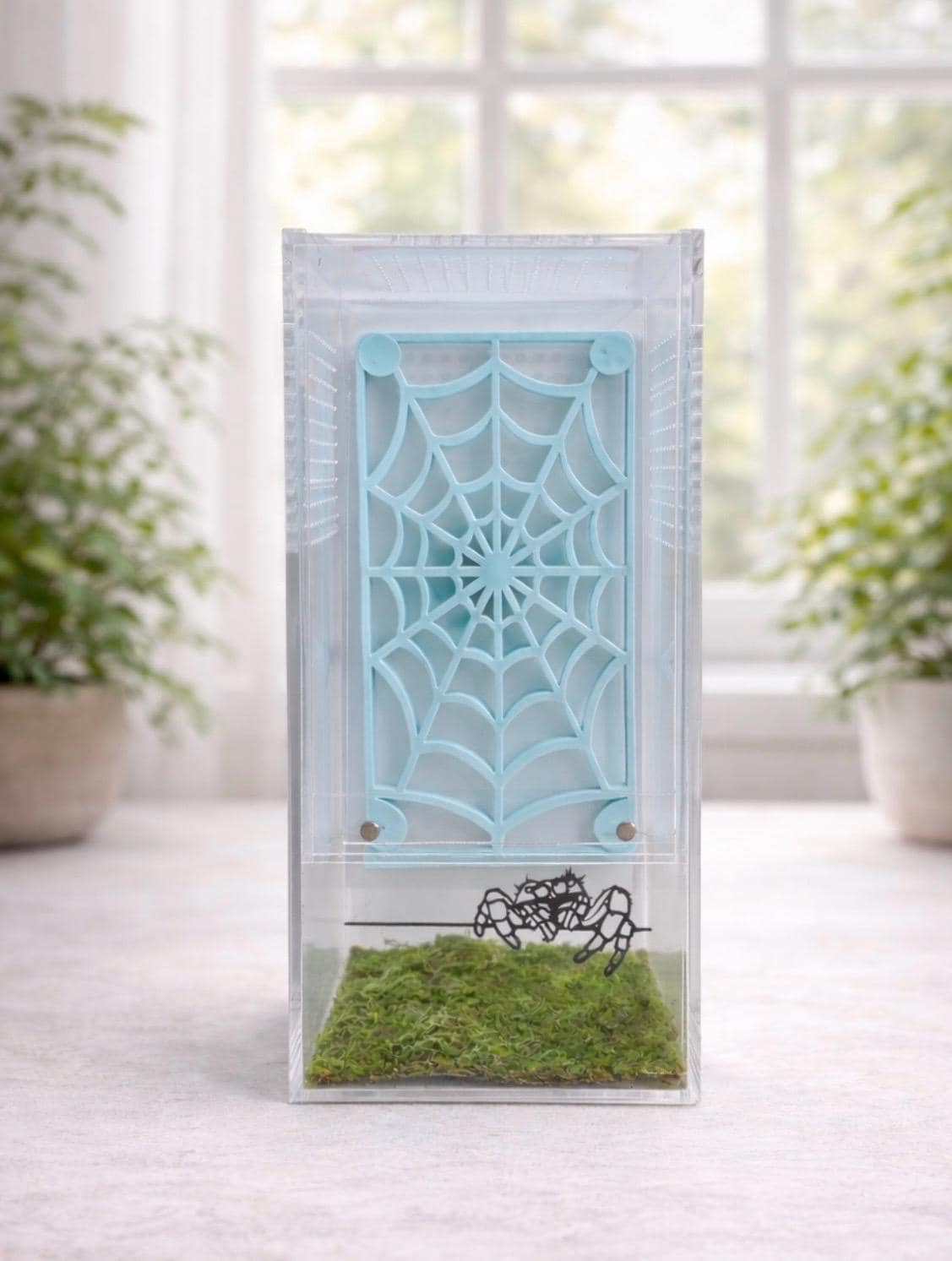 Spider Web Climbing Wall | Jumping Spider Enclosure Decor